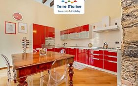 Gallery 22, Terremarine